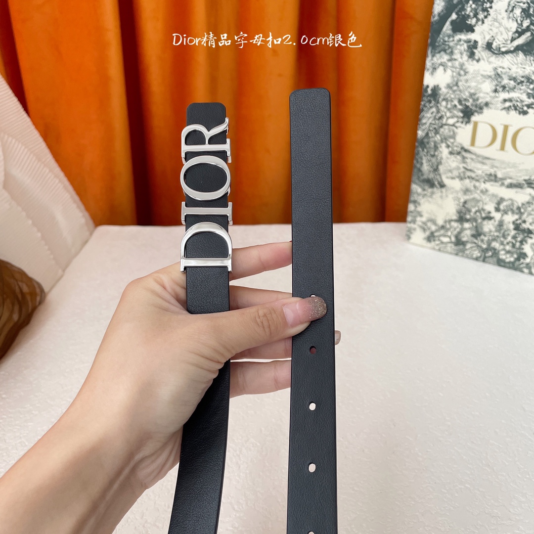Dior-Belts