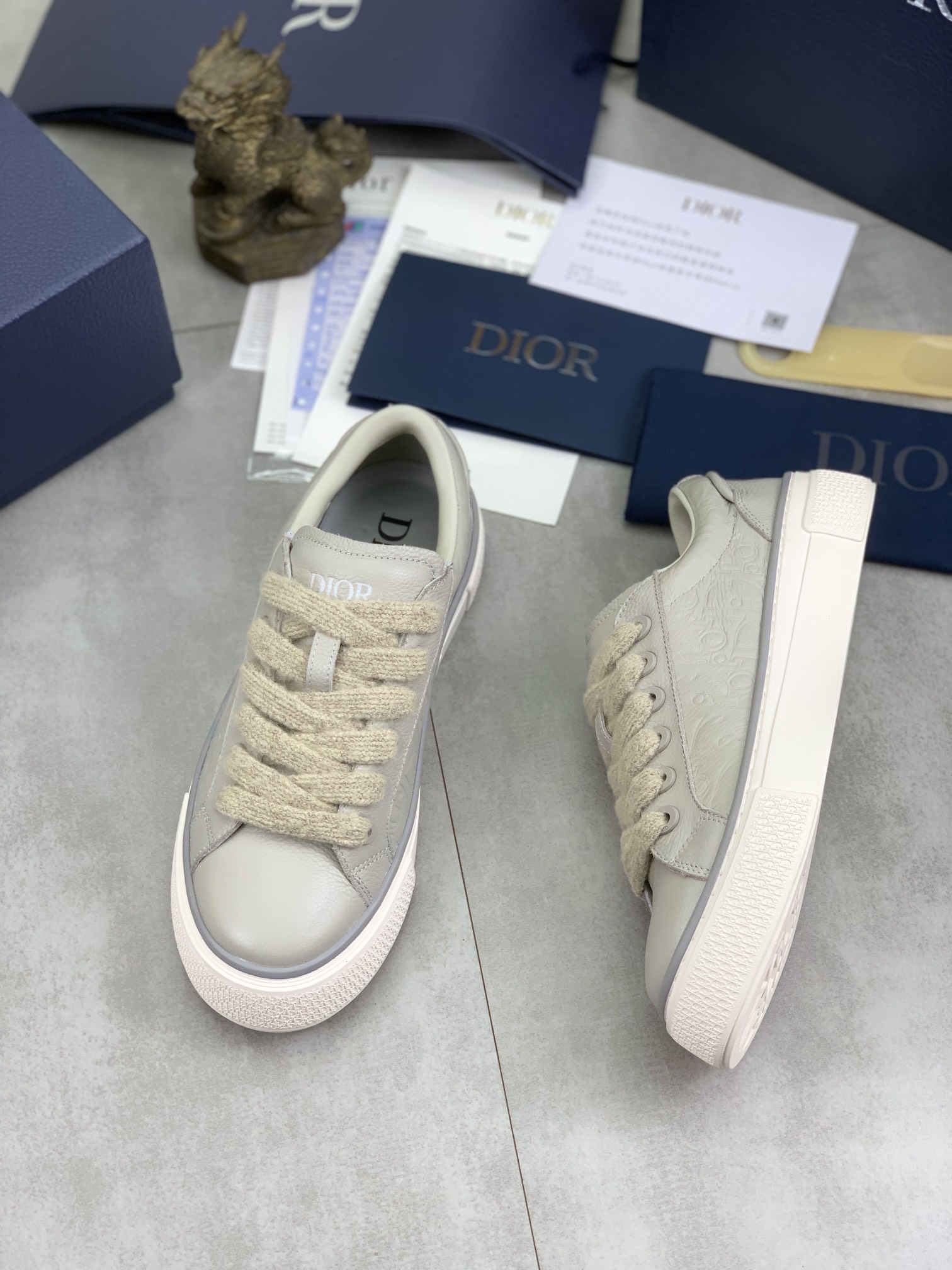 DiorSHOES