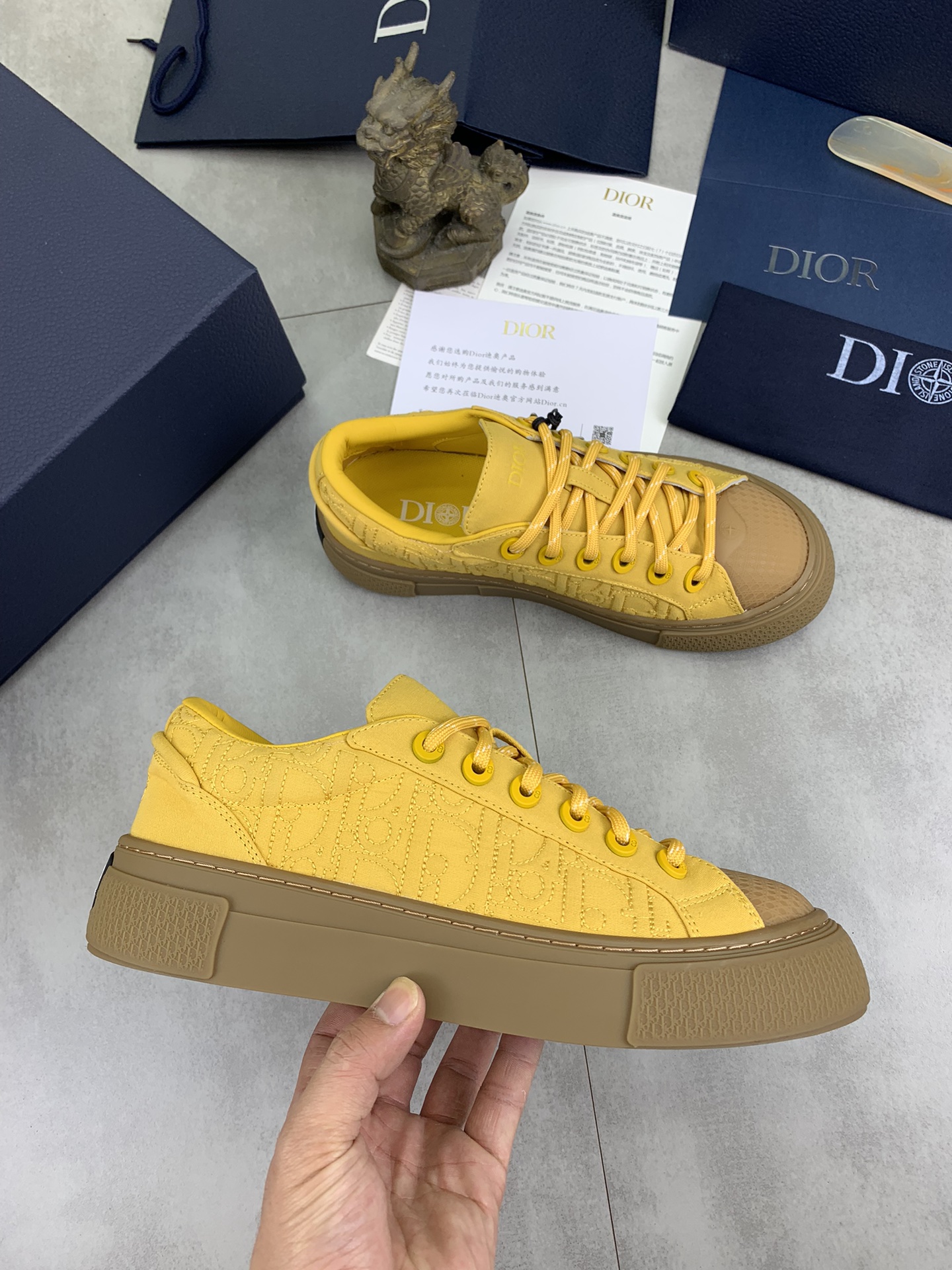 DiorSHOES