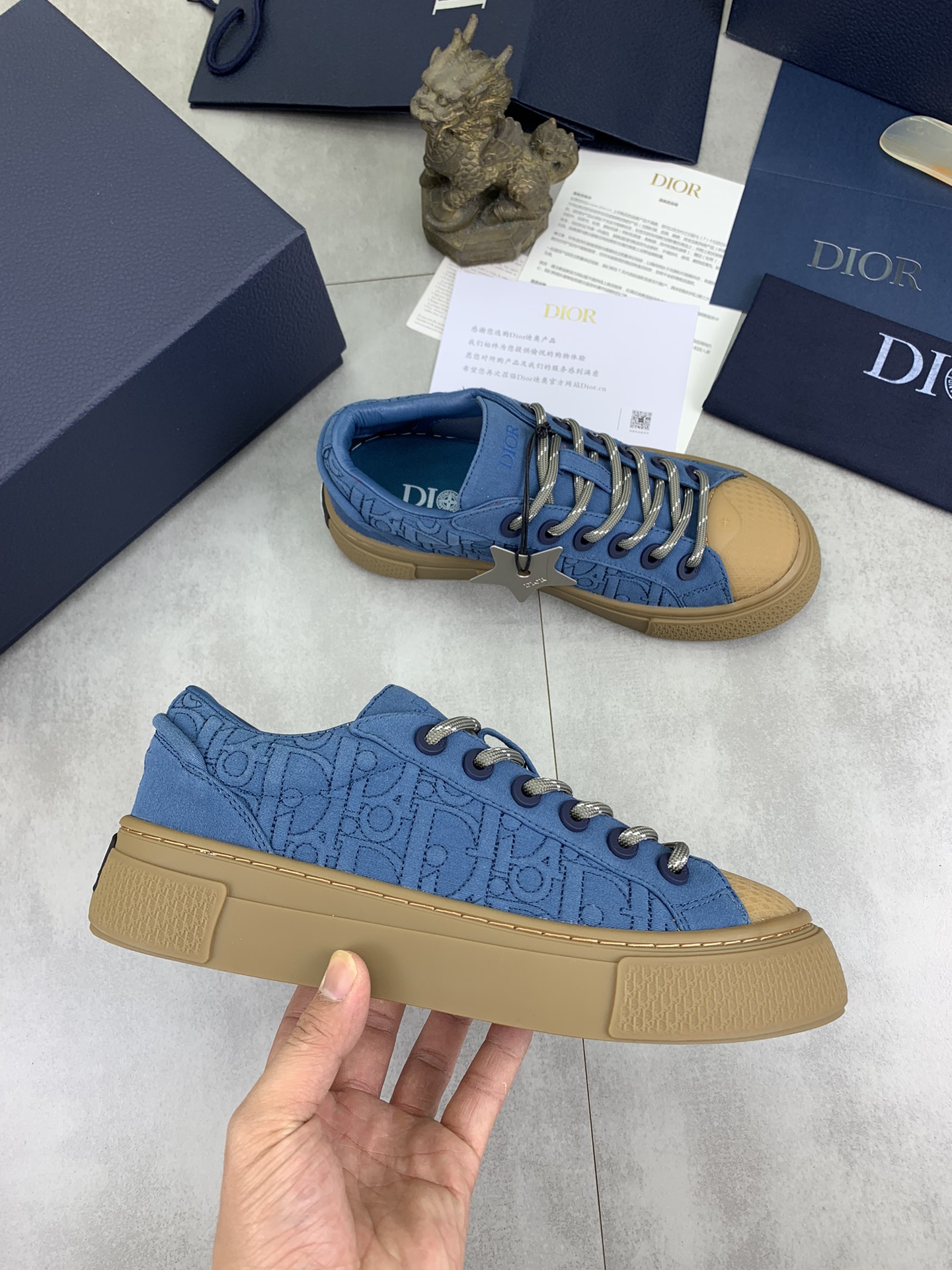 DiorSHOES